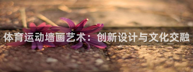 3377体育官方正版app集团官网首页:体育运动墙画艺术:创
