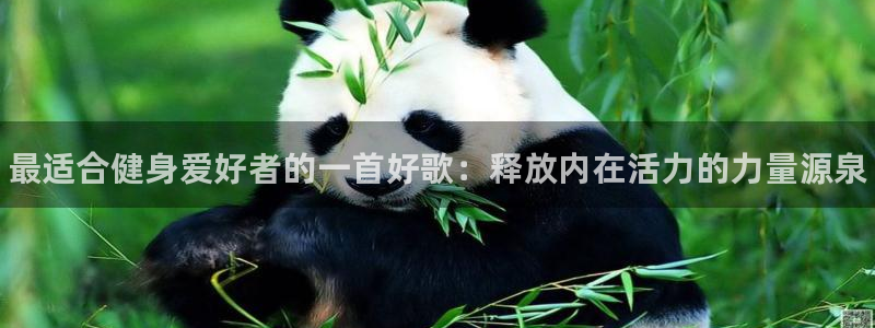 3377体育官网下载:最适合健身爱好者的一首好歌:释放内在活