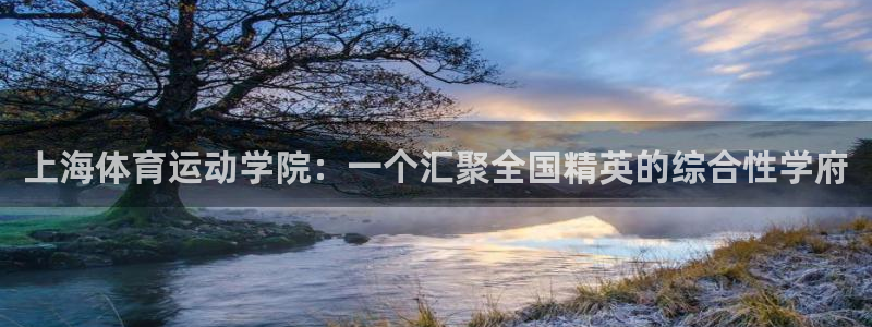 3377体育官网下载平台是正规平台吗:上海体育运动学院:一个