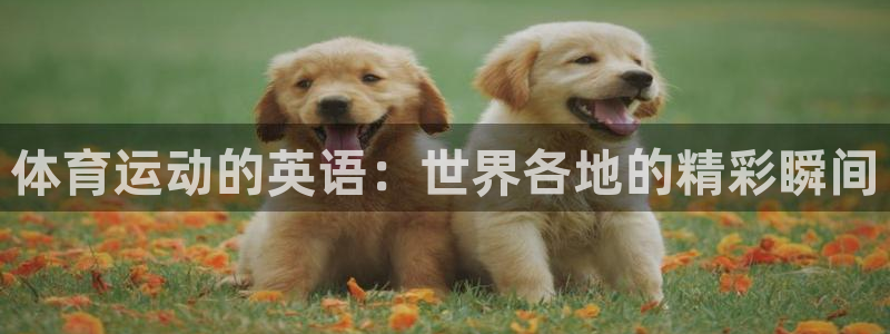 3377体育官方正版app娱乐首页网站大全:体育运动的英语: